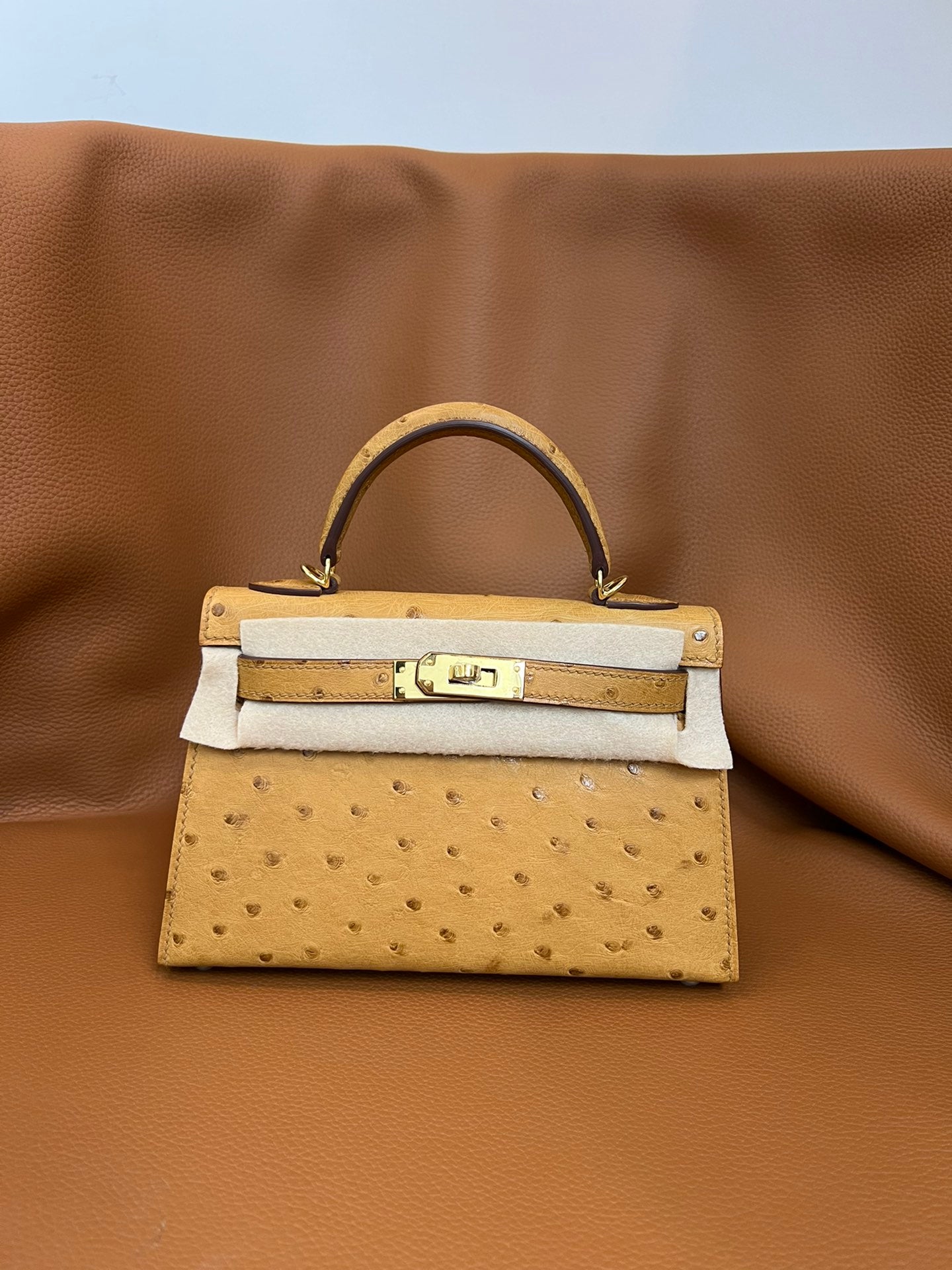 Bolsos de piel exquisitos-64