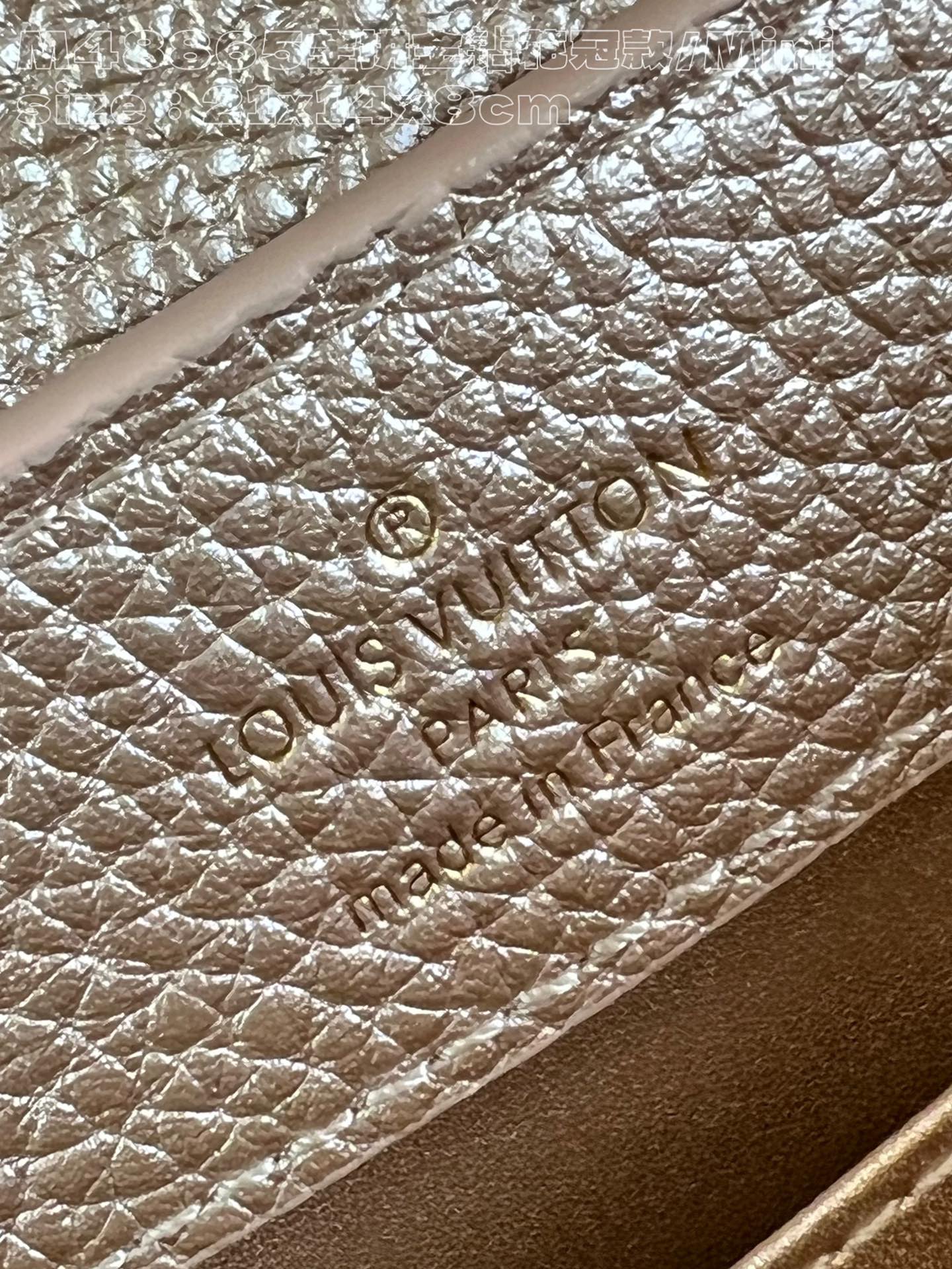 Exquisitos bolsos de piel-327