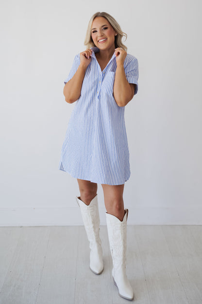 Andrea Shirt Dress