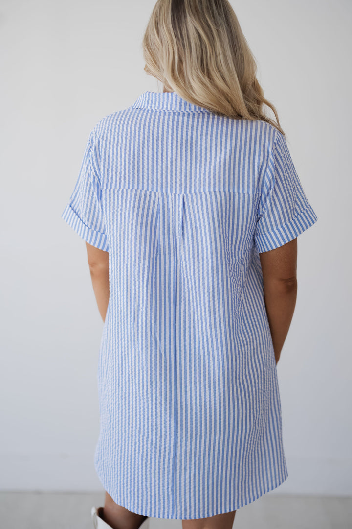Andrea Shirt Dress