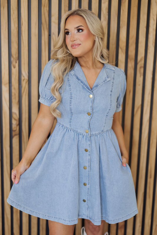 Audrey Mini Dress