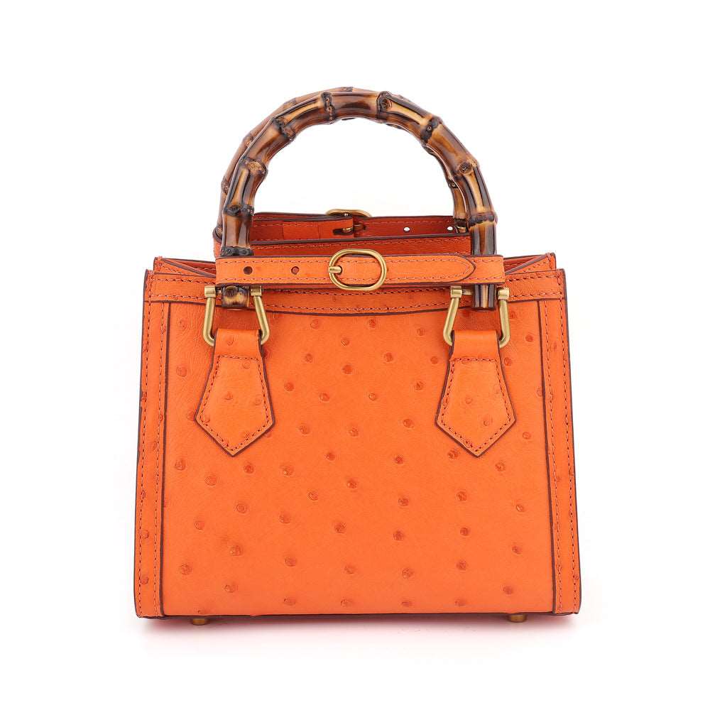 Women's Luxury Fashion Leather Hand Tote Bag