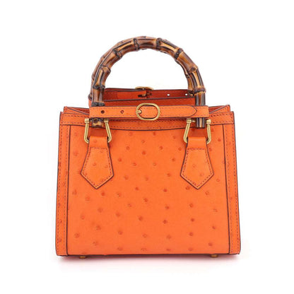 Women's Luxury Fashion Leather Hand Tote Bag